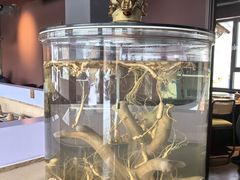 -巧婆婆特色东北菜·铁锅炖