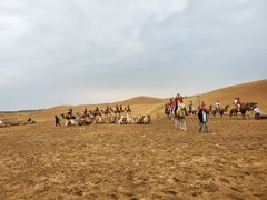 -银肯塔拉沙漠生态旅游景区