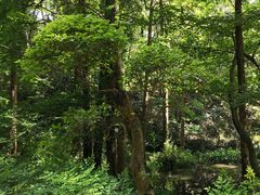 -西湖外事游船(花港观鱼码头)