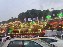 -枇杷园食为鲜火锅(南山店)