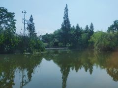 -白塔湖国家湿地公园