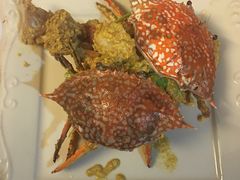 -Red Lobster