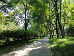 -玲珑塔公园