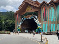 -西双版纳原始森林公园