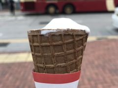 -富豪雪糕车流动点(尖沙咀)