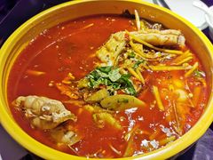 -陈麻婆豆腐总店