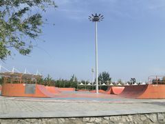 -武清南湖绿博园