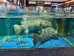 -聚福宝合苑食府(南头镇店)