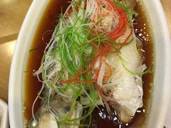 -台北楚楚园馅饼粥(虹桥南丰城店)
