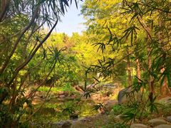 -深圳国际园林花卉博览园