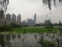 -月湖风景区