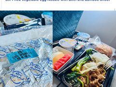 -新加坡航空公司(ION)