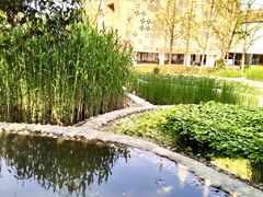 -活水公园
