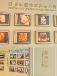 -白领安琪儿妇产医院•早孕•产检•月子中心