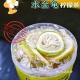 丘大叔柠檬茶｜新品水金龟柠檬茶惊喜上线