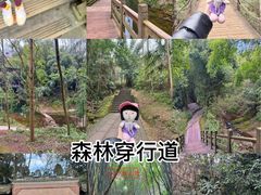 -凤栖山