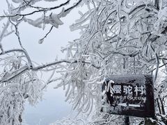 -紫金山山顶公园