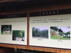 -灵栖洞天