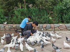 -哈尔滨波塞冬海底世界
