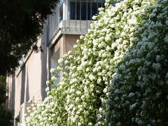 -四川大学(望江校区)