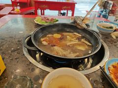 -金鼎雪山牦牛杂火锅(理县总店)