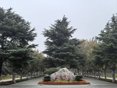 -渭滨公园