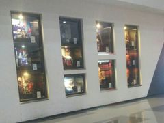 -万达影城(涪城万达广场激光IMAX店)