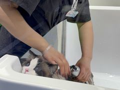-FAELING PETS美天灵宠物(富力广场店)