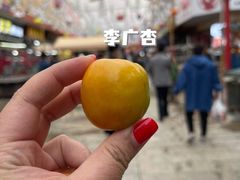 -沙州食驿·非遗小吃夜市