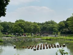 -西溪国家湿地公园