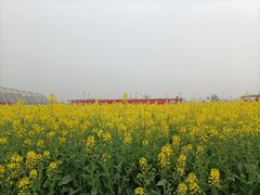 -中国天府农业博览园