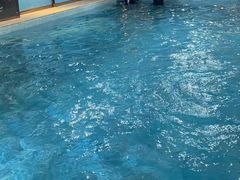 -索菲特游泳·健身·SPA(西湖店)