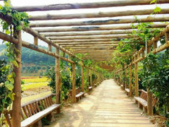 android_upload_pic-望天湖