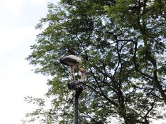 -新加坡飞禽公园