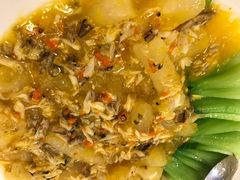 -新光酒家·河豚·海鲜·蟹料理(浦东店)