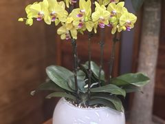 -鲜璟台·地标景观餐厅(上海中心店)