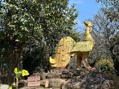 -云南勐巴娜西珍奇园