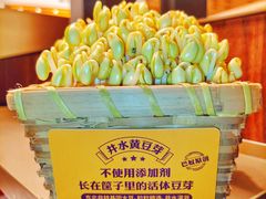 豆芽-巴奴毛肚火锅(悠唐购物中心店)