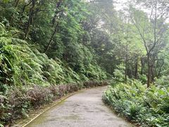 -广州市帽峰山景区