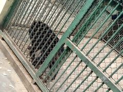 -合肥野生动物园