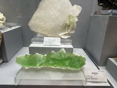 -湖南省地质博物馆