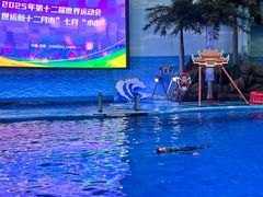 -海合安成都极地海洋公园