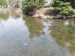 -白马涧龙池景区