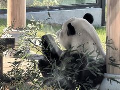 -无锡动物园·太湖欢乐园