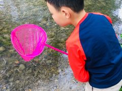 -桤木河湿地公园