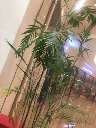 -MMbyHairCode 芭曲发型沙龙