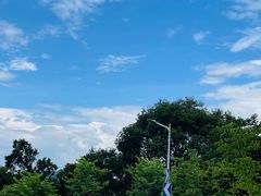 -黄埔油麻山森林公园