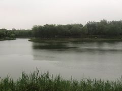 -东郊湿地公园