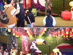 -正佳雨林生态植物园