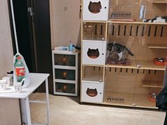 -太犇牛手作茶铺(六合万达店)